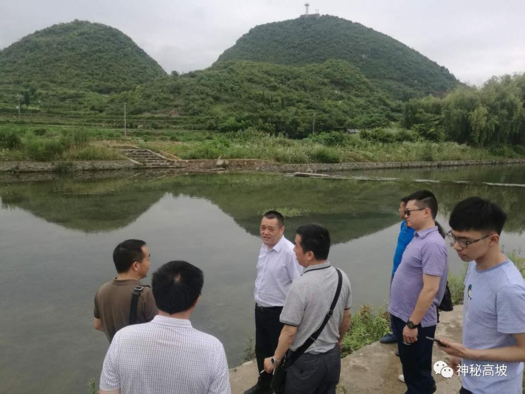 推进赵司河流域河流管理,花溪区政府副区长张宝祎同志(赵司河区级河长