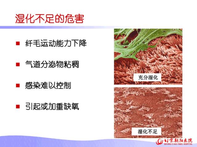 人工气道湿化疗法,值得收藏学习的ppt!