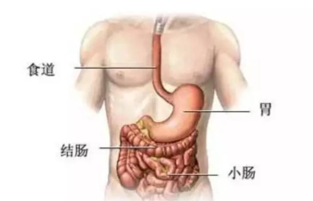 一套15分钟瑜伽结肠术隔天排便18斤