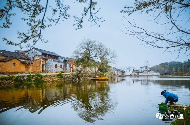 夏至又至,晴空正好!来新县丁李湾"清凉一夏"吧!