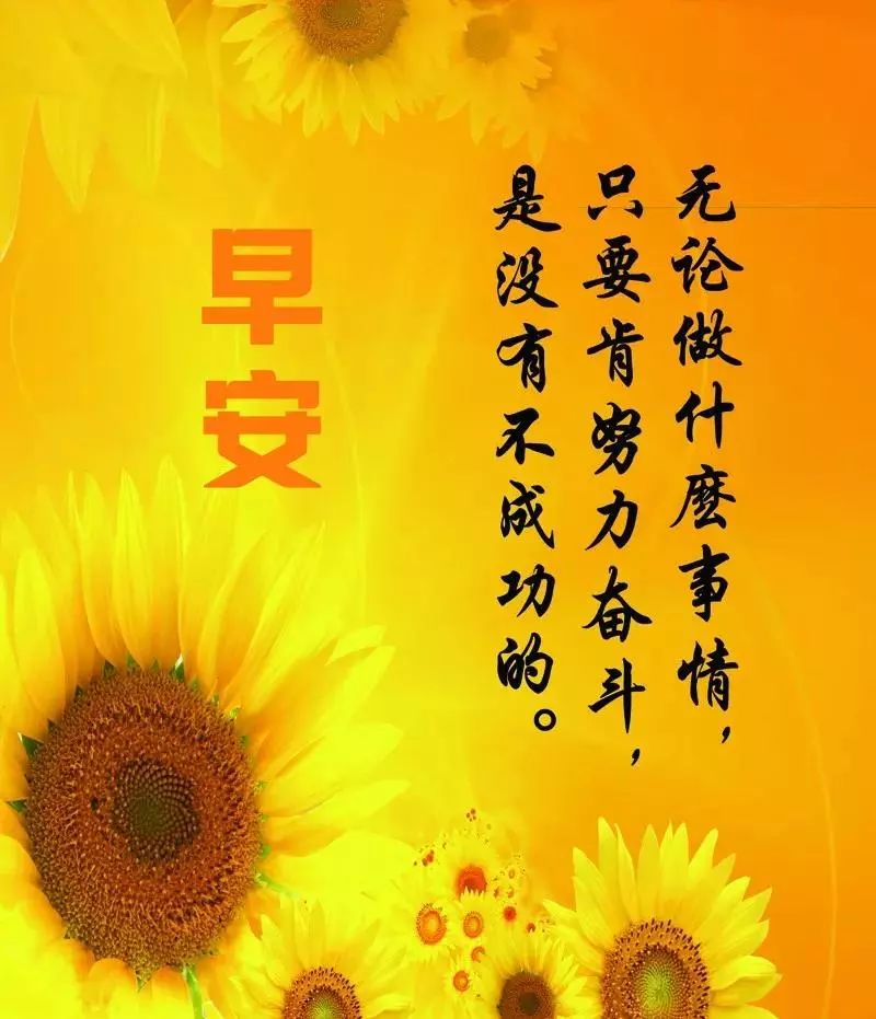 最美早安图片带字励志 新的一天早安语激励人心的好句子