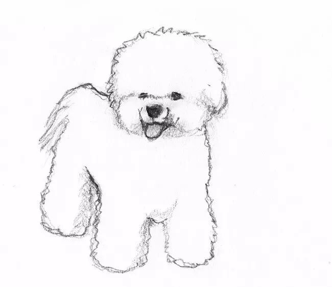 素描画的狗狗,竟然这么可爱~_搜狐宠物_搜狐网