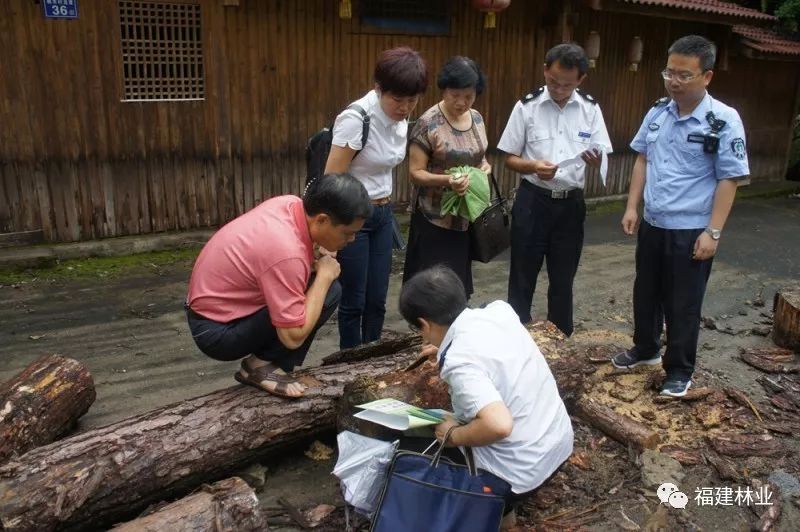 剑指生态安全!武夷山国家公园林业植物检疫联合执法启动