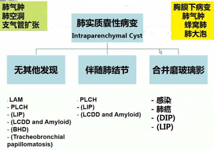 蔡柏蔷教授:不同类型肺气肿,大疱性肺脏疾病的影像病因鉴别丨cacp