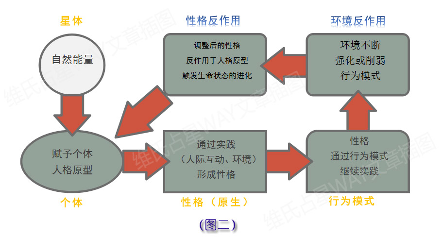 人口移动的机制是什么原因_移动ftth线是什么样子