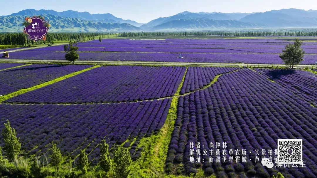 霍城县·清水河镇