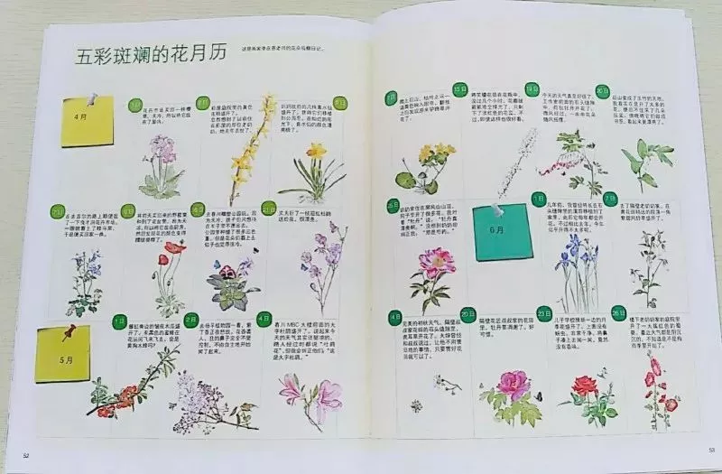 在这本书里聆听花的故事……杜鹃花开了,春天来了:牡丹花开了,到了5月