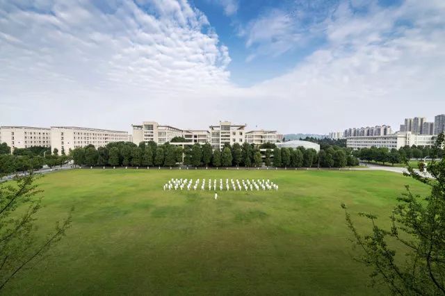 四川大学锦江学院招生公告