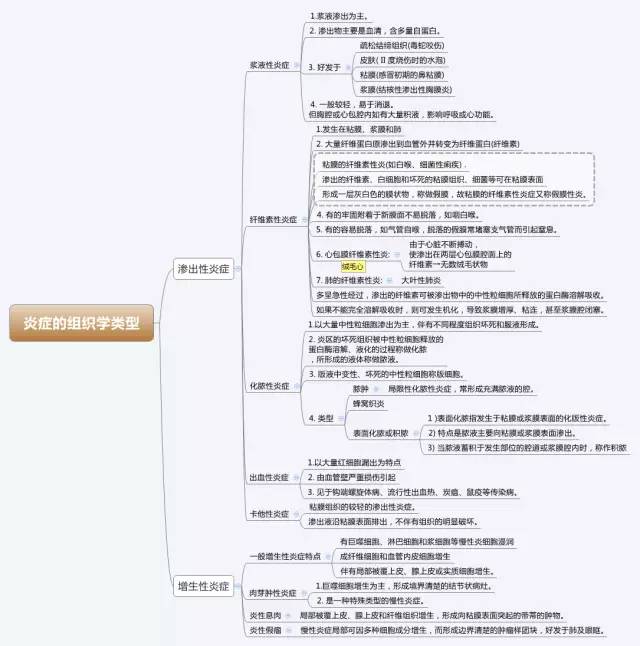 病理学医学思维导图全套完整打印版免费下载