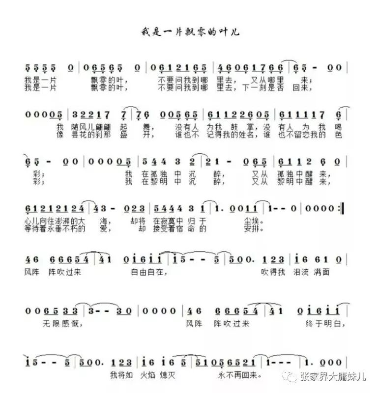 枫叶飘落的声音简谱_这份银杏打卡地图,告诉你云南的秋天有多美(3)