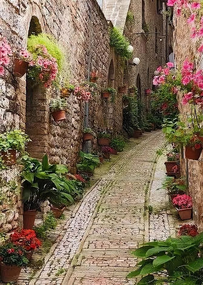 七月的吉维尼小镇,玫瑰疯长,堇草蔓延,上帝把阳光和浪漫,遍布到小镇的