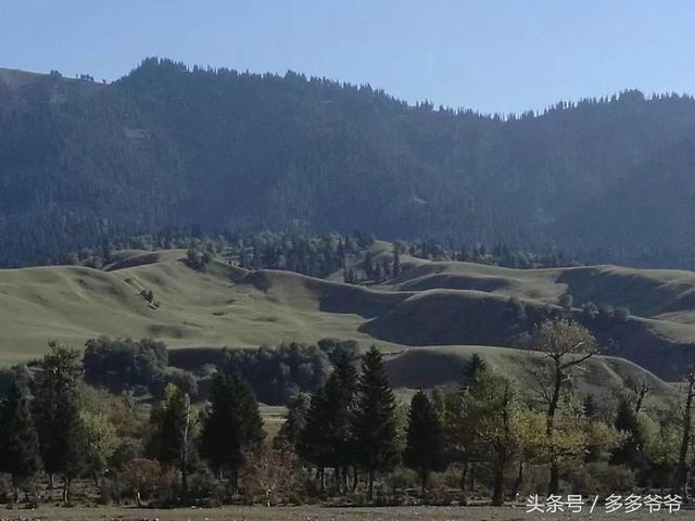 那拉提大草原人口民族_那拉提大草原(2)