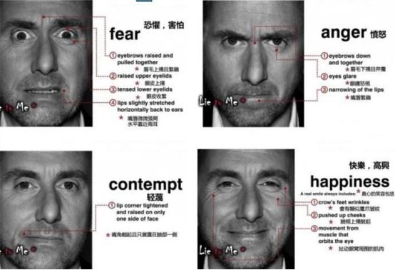 美剧《lietome》微表情总结