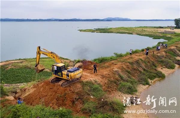 追踪丨廉江政府出动百余人,对水库110亩鱼塘取缔清理!