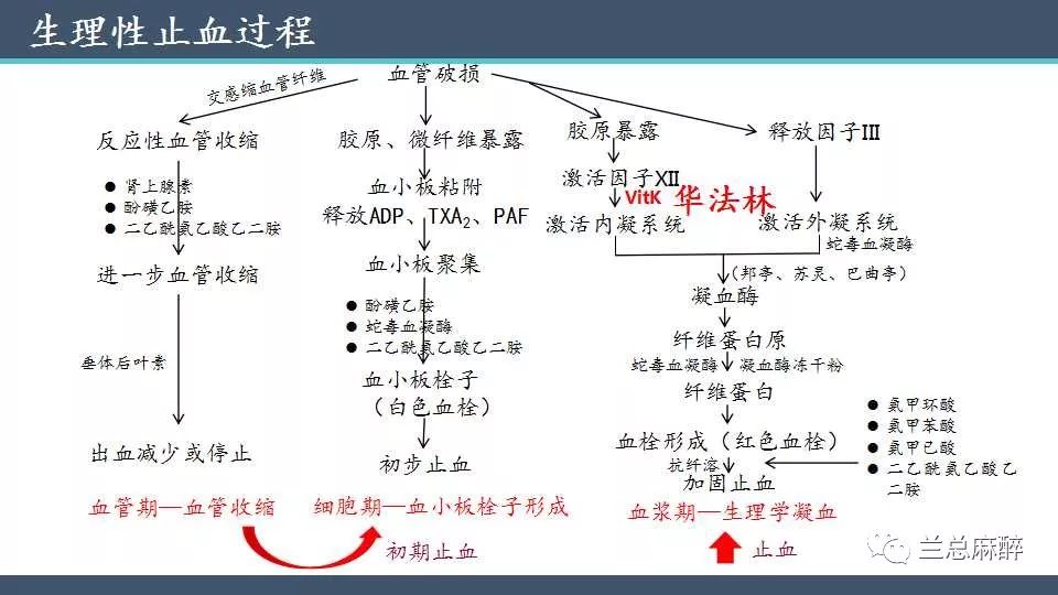 低分子肝素:具有很高的抗凝血因子xa活性和较低的抗凝血因子iia活性.