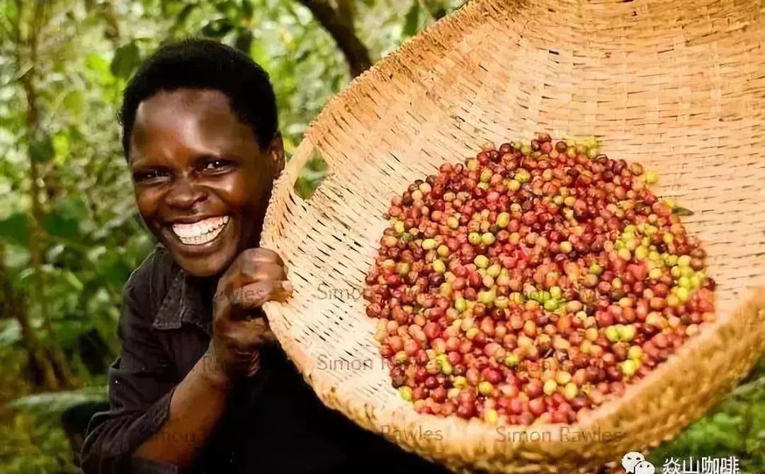 浓郁咖啡非洲咖啡各大产区咖啡详解