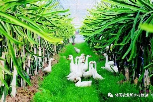 生态农业运用了什么原理_简爱运用了什么手法