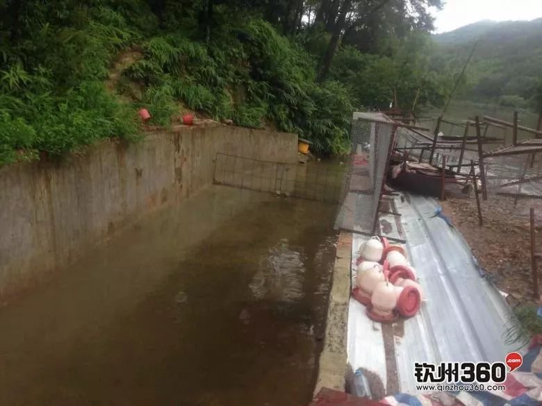 暴雨来袭!钦州多地已沦陷,钦州人顶住啊