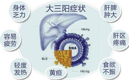 乙肝人口_乙肝五项正常结果图