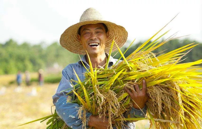 中国农民丰收节:为第一个属于农民的节日而欢呼   每周评论