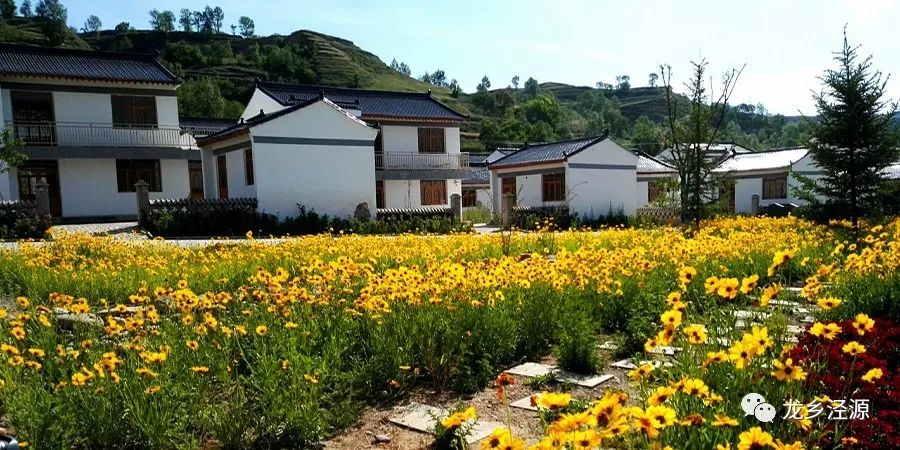 第二季"一路花海,一路歌"暨泾源县20公里旅游服务带花田花海摄影活动