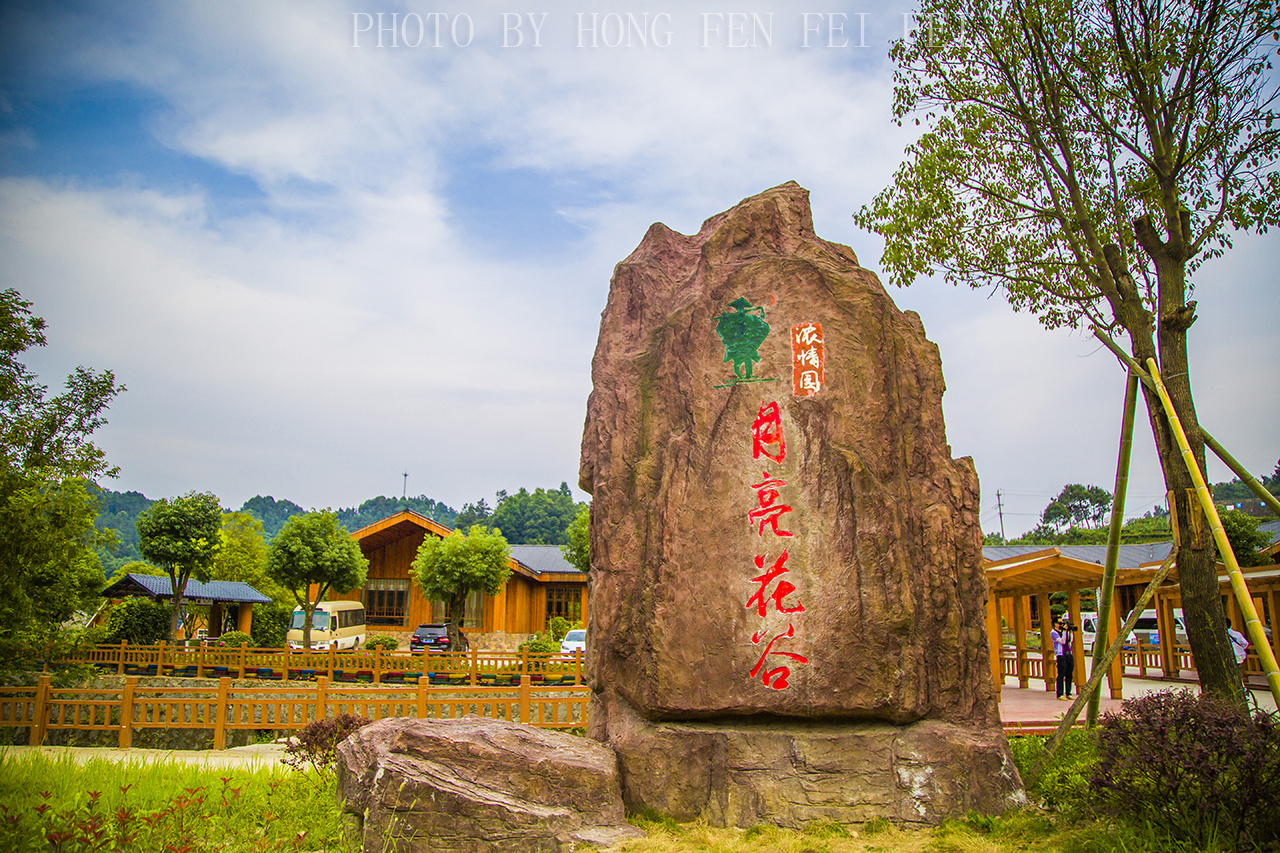 谷三峡月亮花谷位于宜昌秭归县茅坪镇月亮包村,距三峡大坝5公里,景区