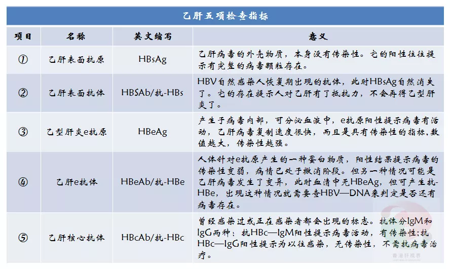 三图助你读懂乙肝检查报告