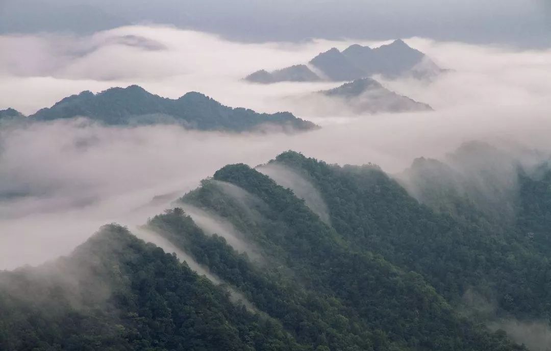 文化天地丨祁门牯牛降 悠悠古道