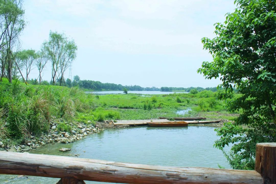 鲁家滩自然环境优美,湖水清澈,碧波荡漾,水草丰茂,湖水周围树木繁盛