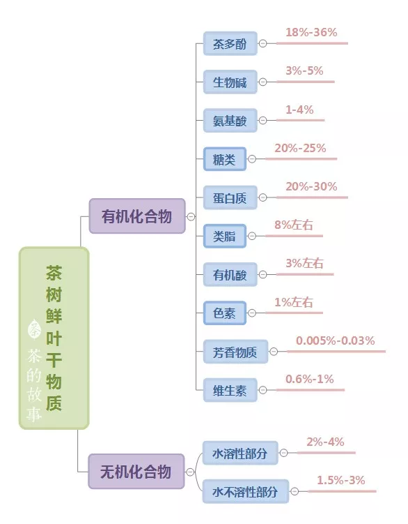 因为不同的加工工艺会造成茶叶成分有差异,鲜叶的物质成分更有统计