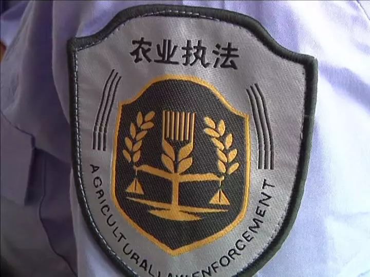 区农业综合执法大队农业中队中队长胡晓林服务农业心系百姓