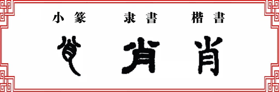 【双法字理】肖字家族