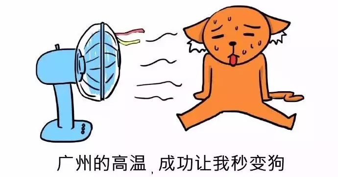 广州有多少人口不是口啥意思_广州省有多少市和区