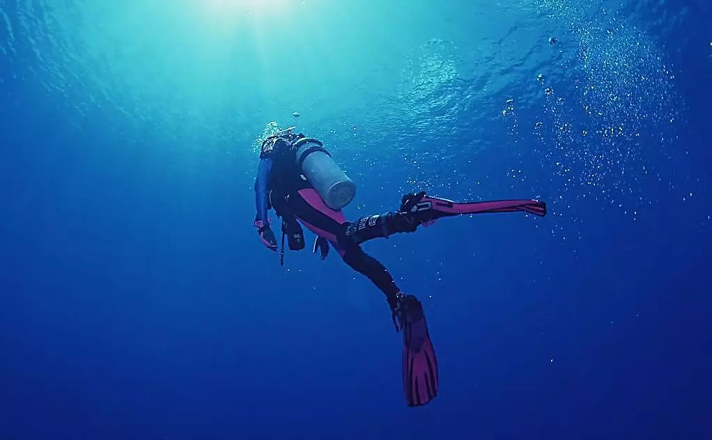 高空滑翔,深海潜水,飞行体验,团建来点不一样