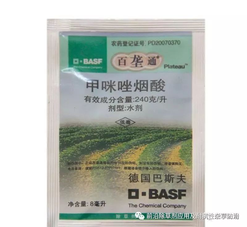 甲咪唑烟酸对下茬大蒜的影响