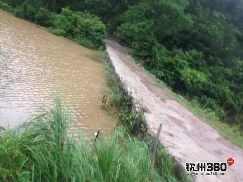 暴雨来袭!钦州多地已沦陷,钦州人顶住啊