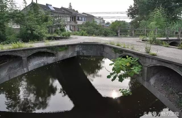 【魅力家乡】宝应柳堡廷柏村"十字桥"