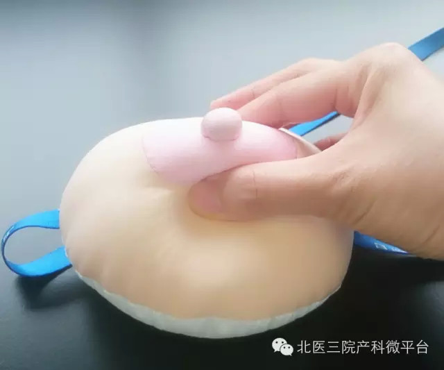 母乳喂养挤奶和揉奶的方法