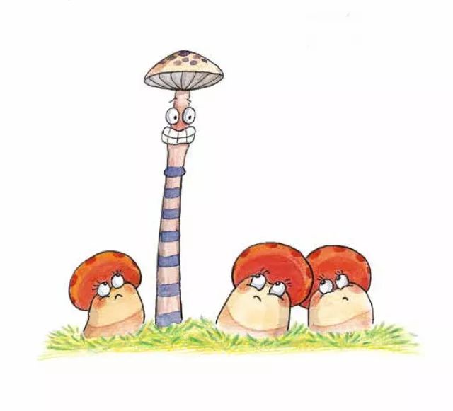 采蘑菇的采怎么写
