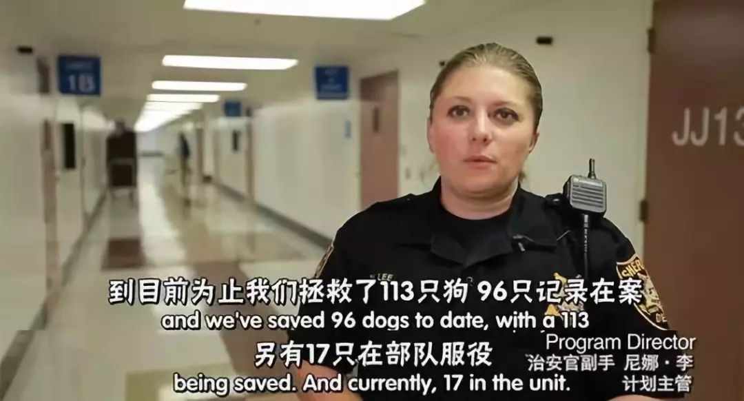 "监狱犬计划"相关纪录片(图源:网络)