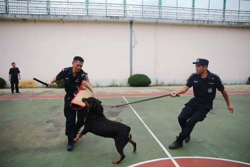 值班穿着警服睡,工作随时待命—防暴处突中队队长刘佑林的一天