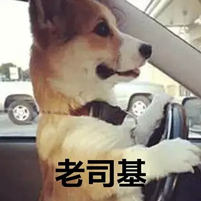 成语犬什么声_成语故事图片(2)