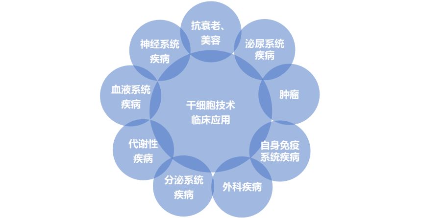 干细胞治疗技术难点解析及市场分析