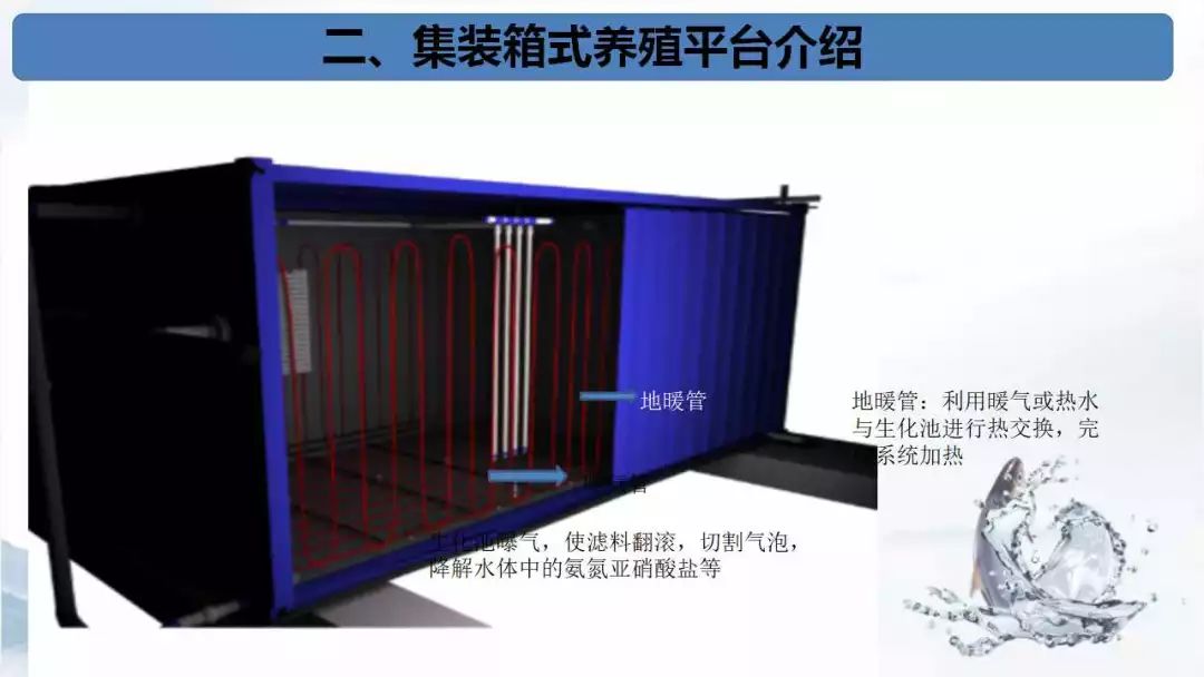 新型养殖模式成功率达95以上集装箱式养殖