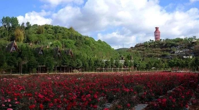 倘甸花道人间轿子雪山路上的惬意中转站