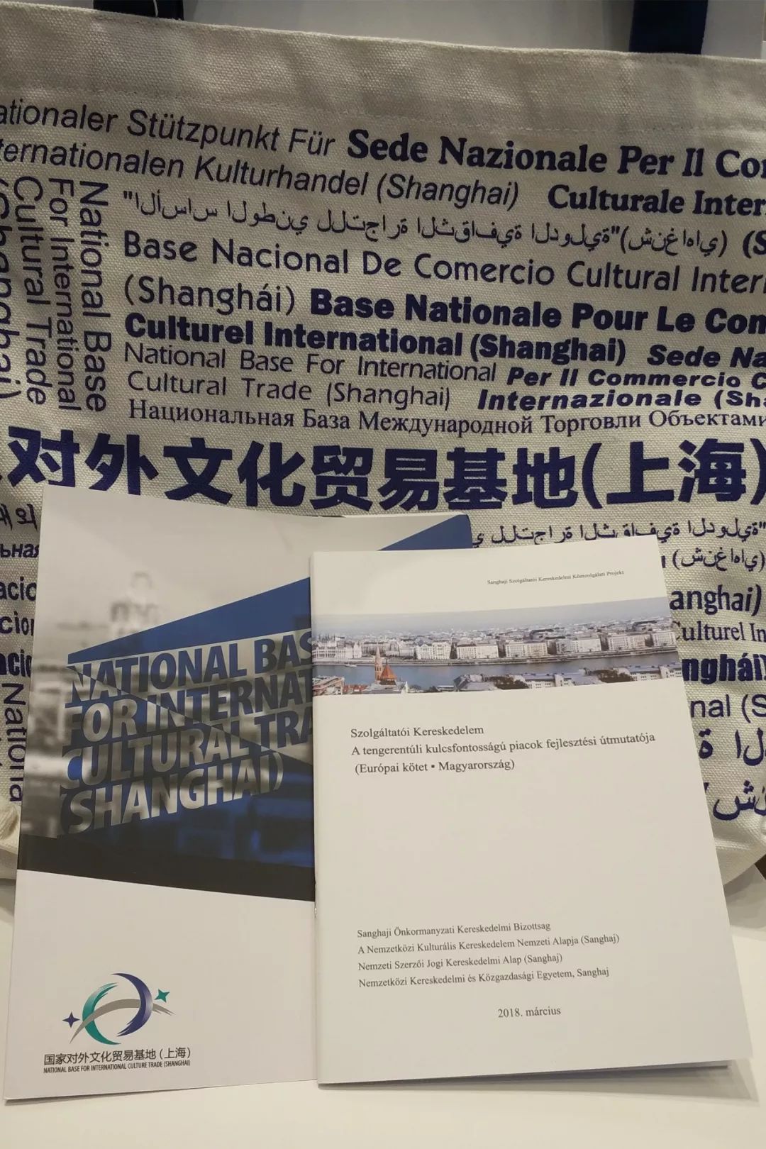 【动态】“魅力上海”系列文创活动在匈牙利举办，重点推介中国国际进口博览会