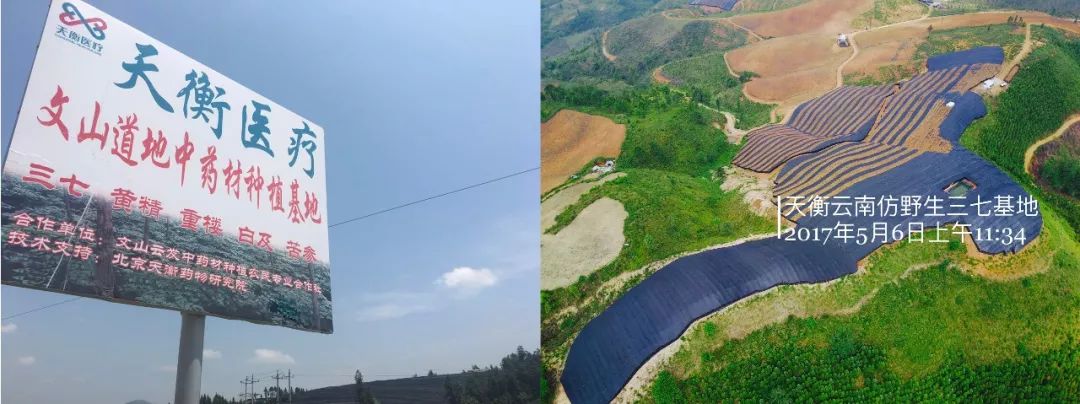 [双喜临门]天衡将中国优质道地中药材十佳规范化种植基地,中国医药