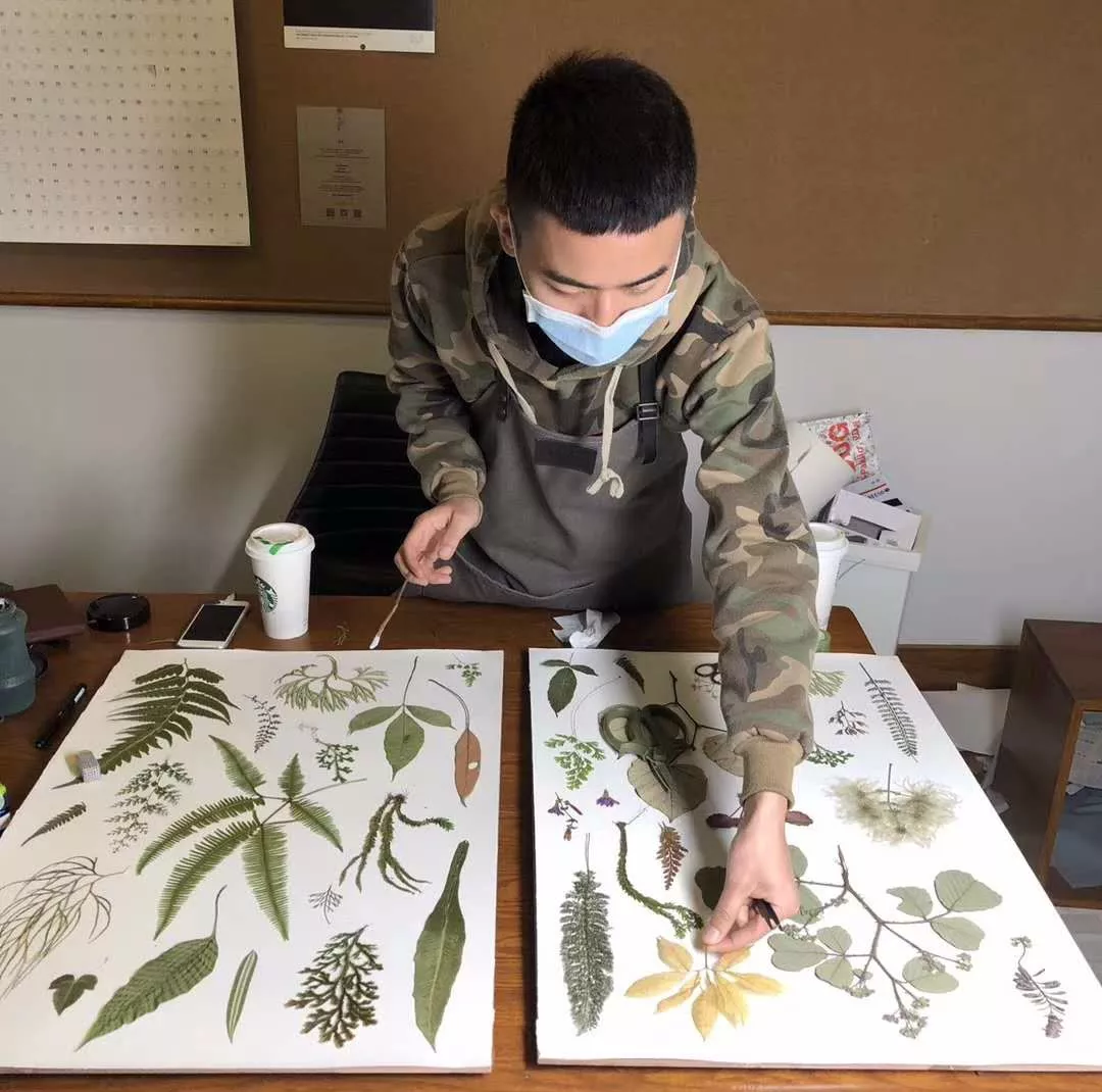 八子与植物标本展览《千山惊蛰》