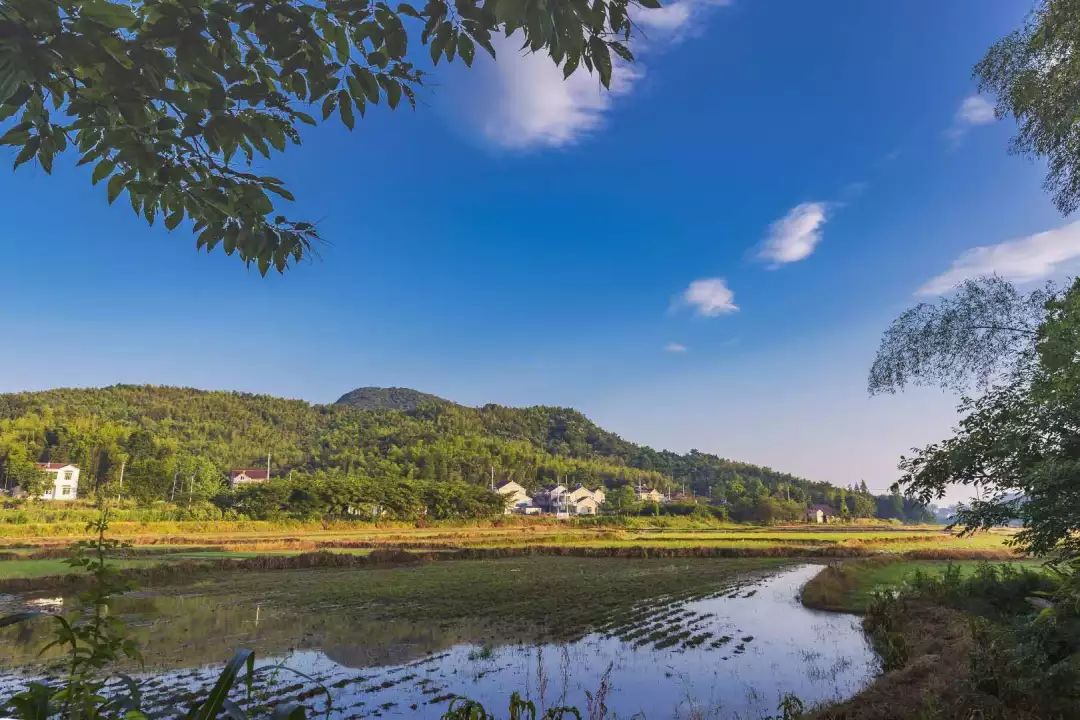 【郎溪好风光】南湖福寿岛,赏荷在夏桥