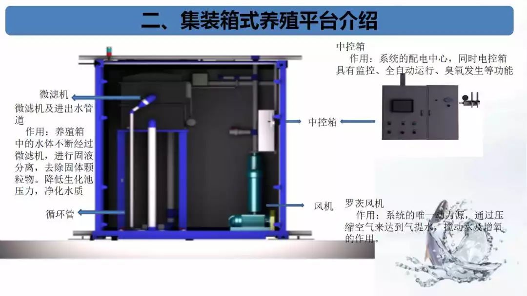 新型养殖模式成功率达95以上集装箱式养殖